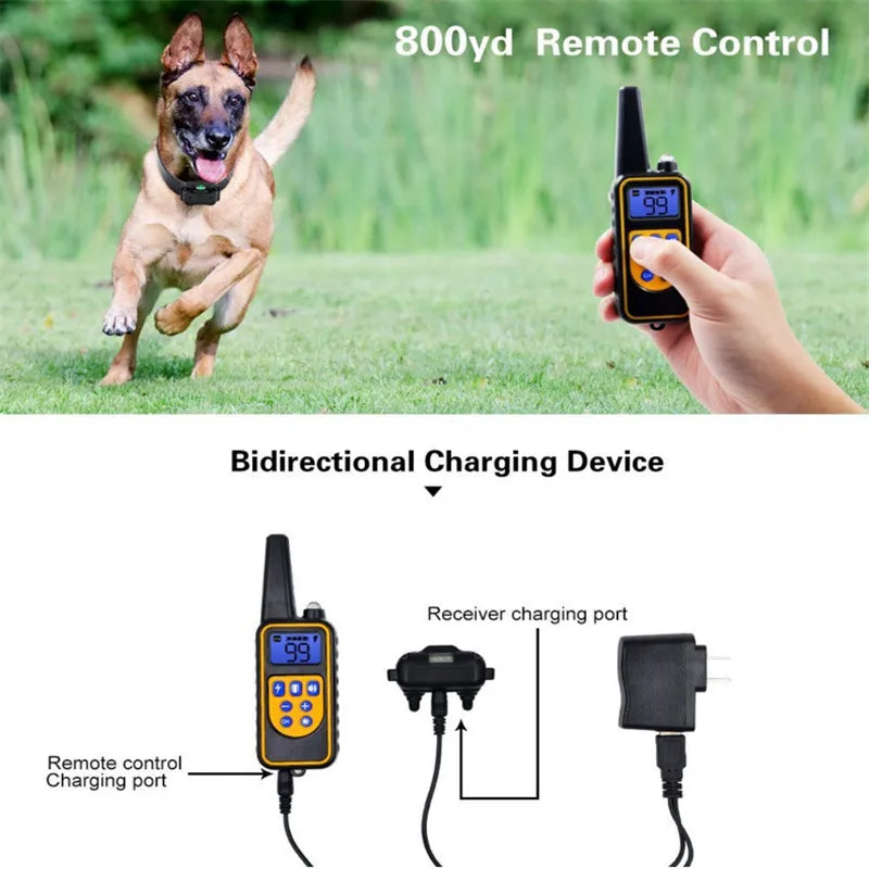 Rechargeable Dog Training Collar