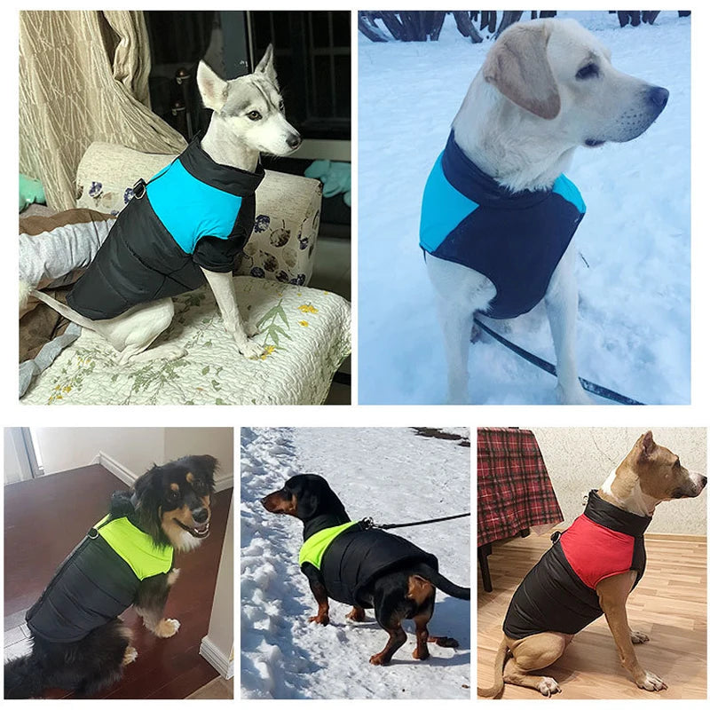 Waterproof Winter Dog Coat