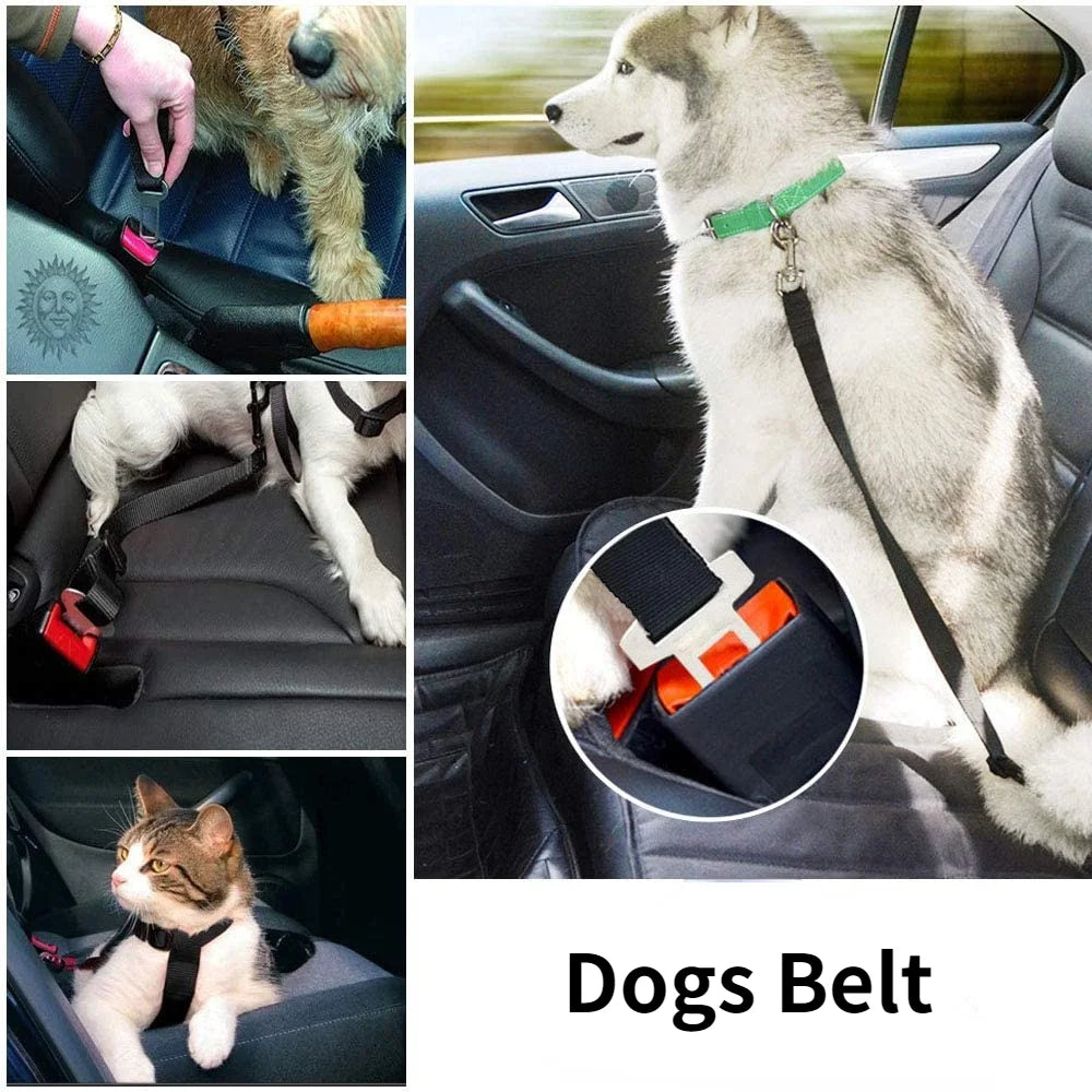 Pet Seat Belt