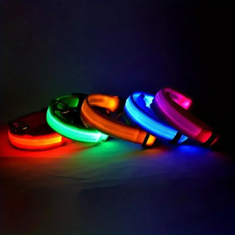 LED Glow Dog Leash