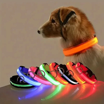 LED Glow Dog Leash