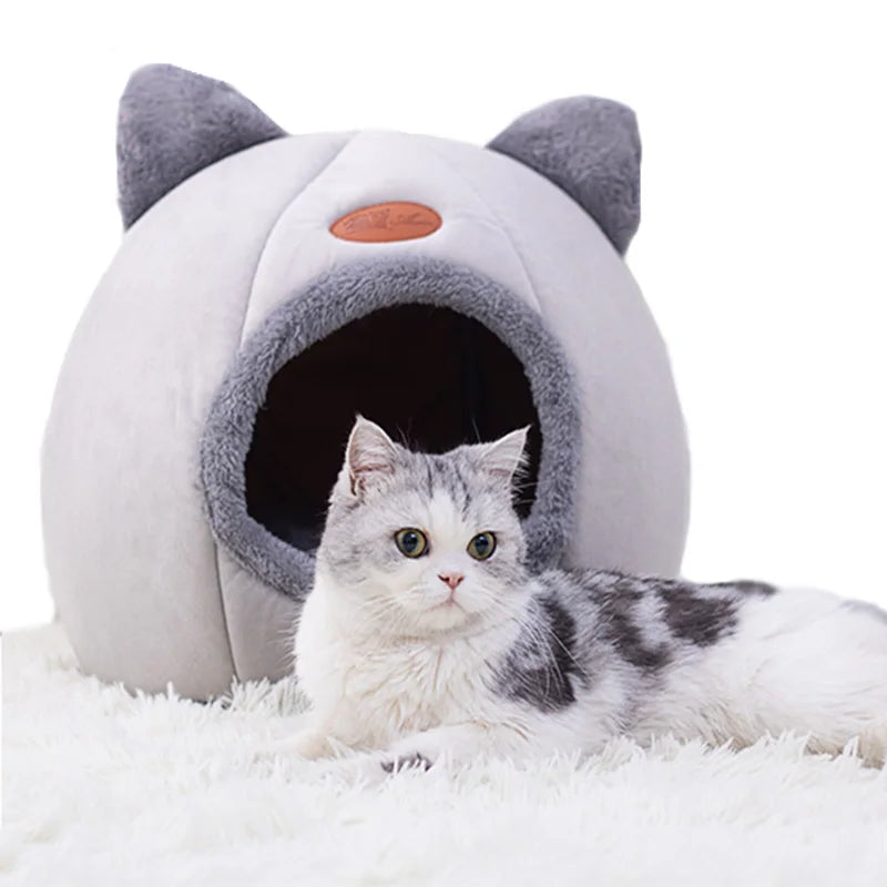 Cozy Winter Pet Bed