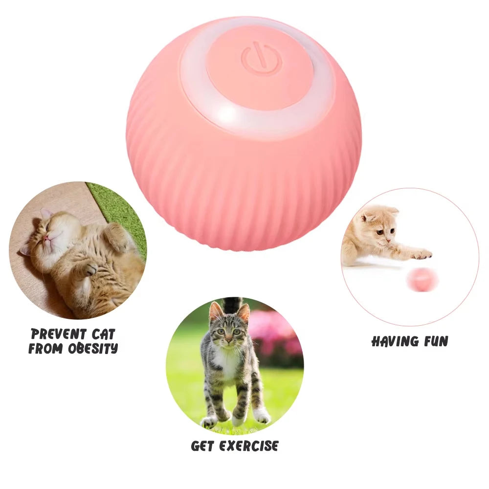 Interactive Smart Pet Ball