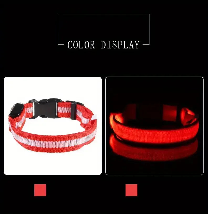 LED Glow Dog Leash