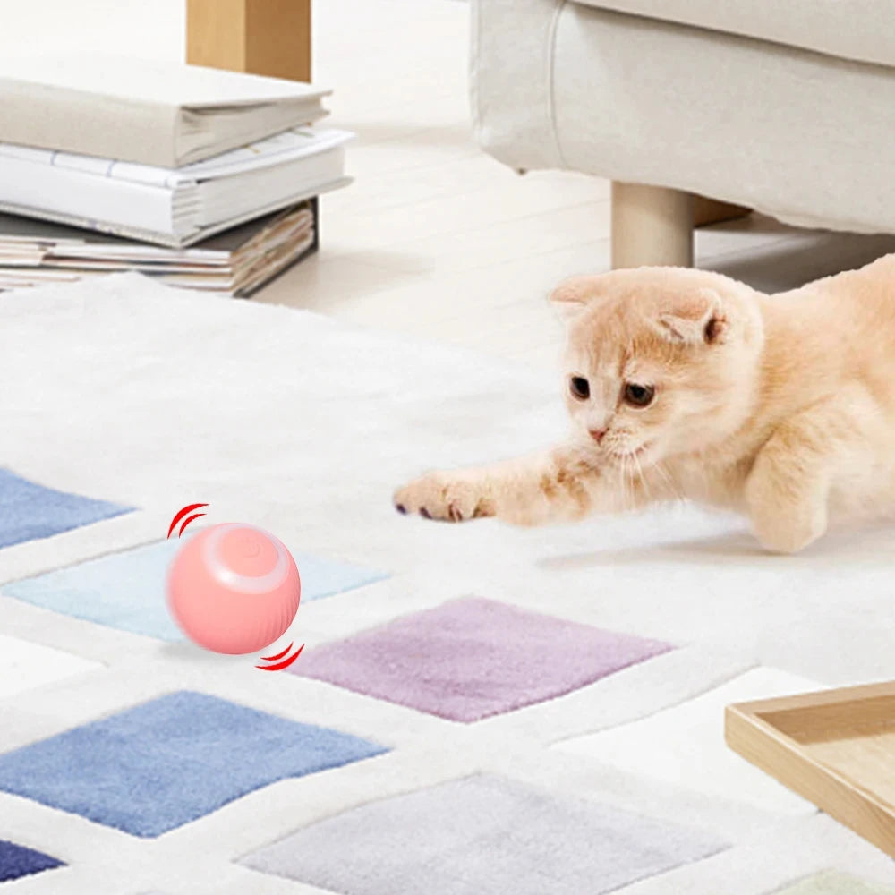 Interactive Smart Pet Ball